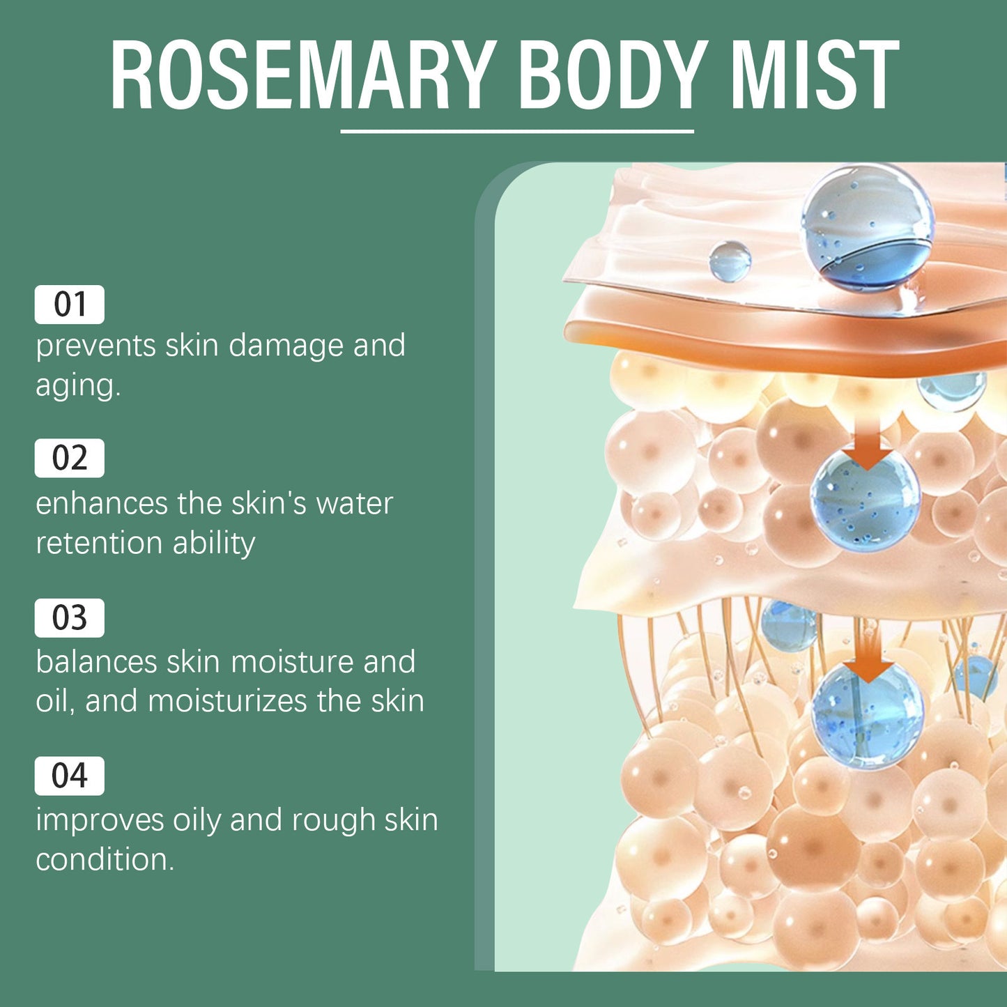 Rosemary Body Lotion Dry And Lasting Skin